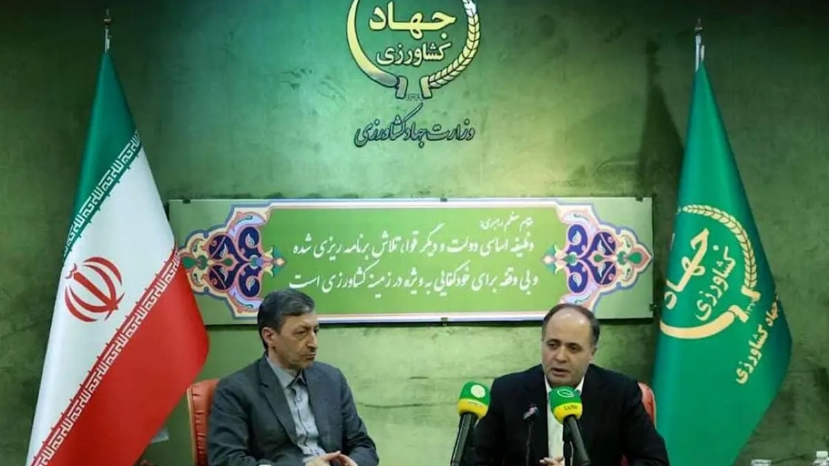 تولیدات کشاورزی در وضعیت پایدار؛ تأمین ۸۵ درصد غذای کشور در داخل + فیلم