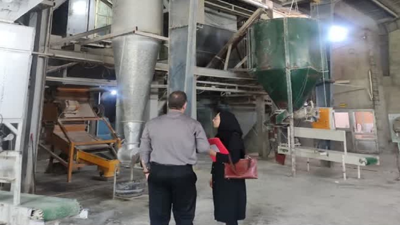 تولید با دقت زیر ذره‌بین؛ کارخانجات خوراک دام و طیور بابل رصد می‌شوند