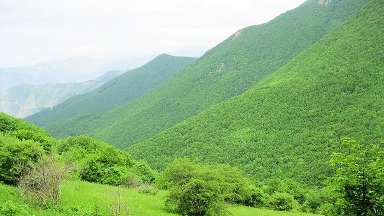 وجود ۸۰ موزه تاریخ طبیعی در کشور