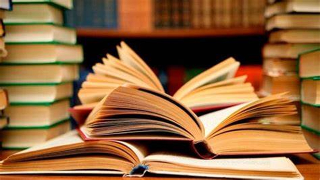 ترویج فرهنگ کتابخوانی در فریمان با احداث غرفه + فیلم