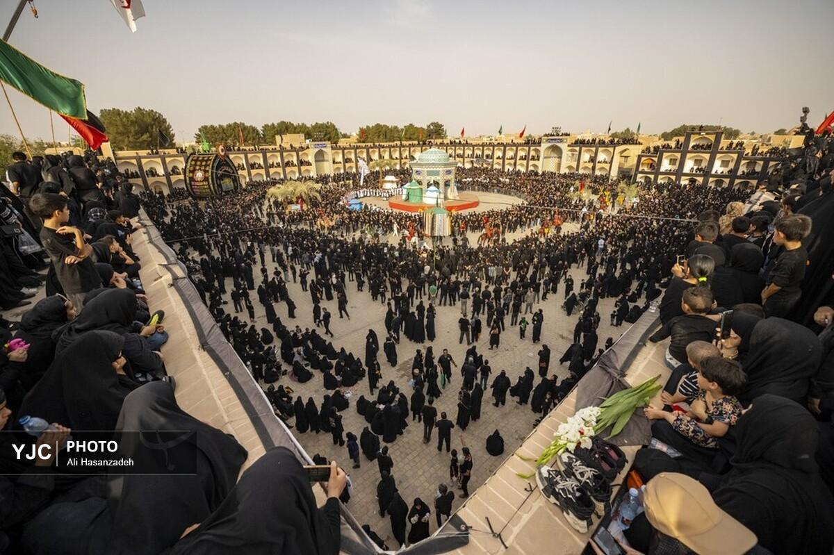 زیر سایه نخل در یزد