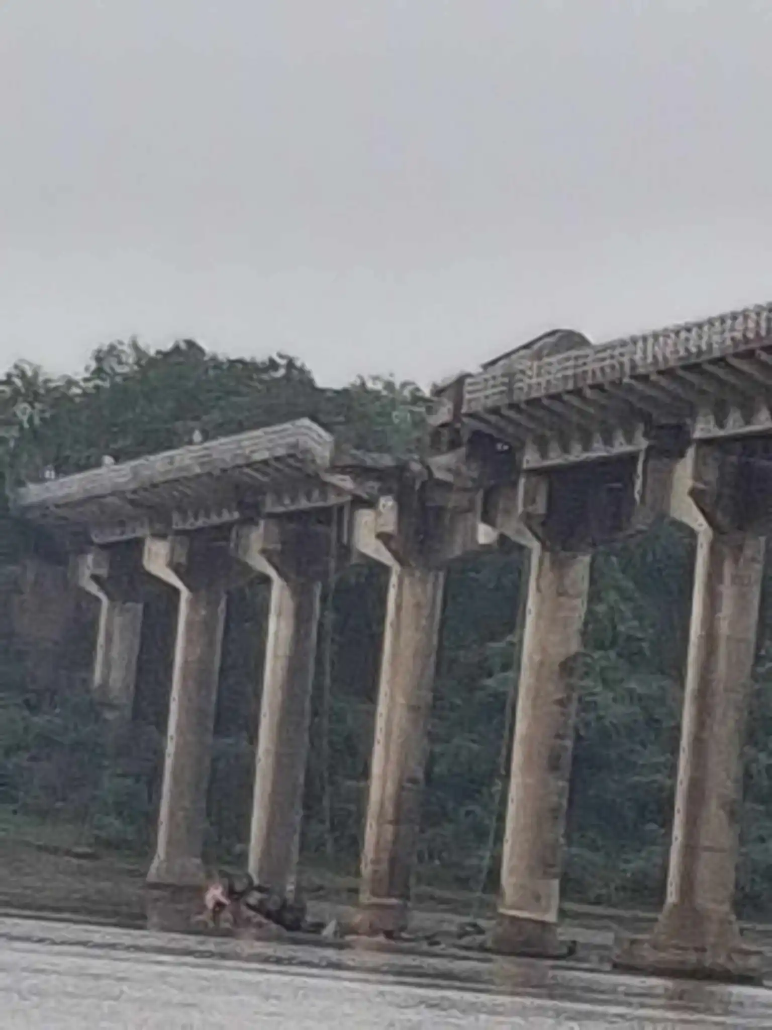 حادثه در گجرات هند حادثه در گجرات هند