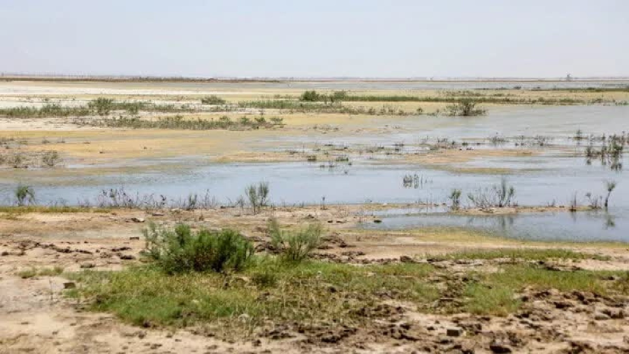 حیات تالاب صالحیه در گرو تأمین حق‌آبه پایدار