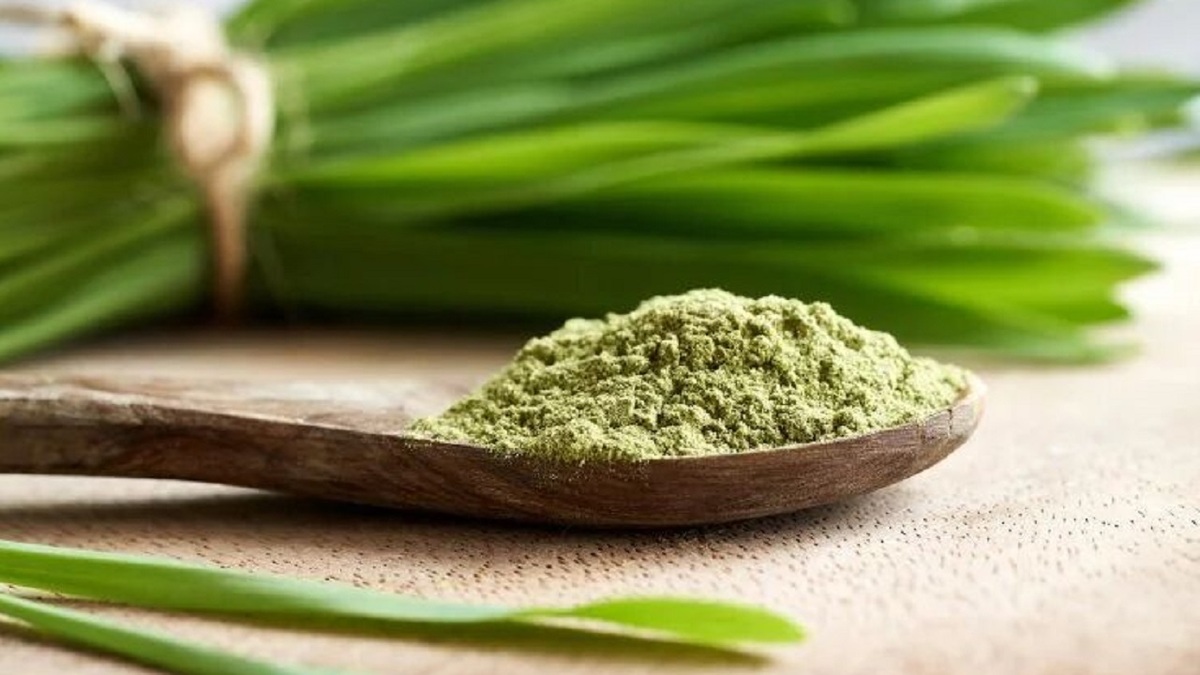 باشگاه خبرنگاران -اثبات خواص افزایش طول عمر و ضد پیری جوانه گندم