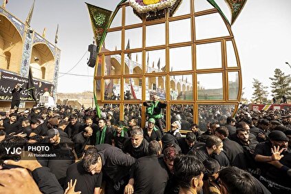زیر سایه نخل در یزد