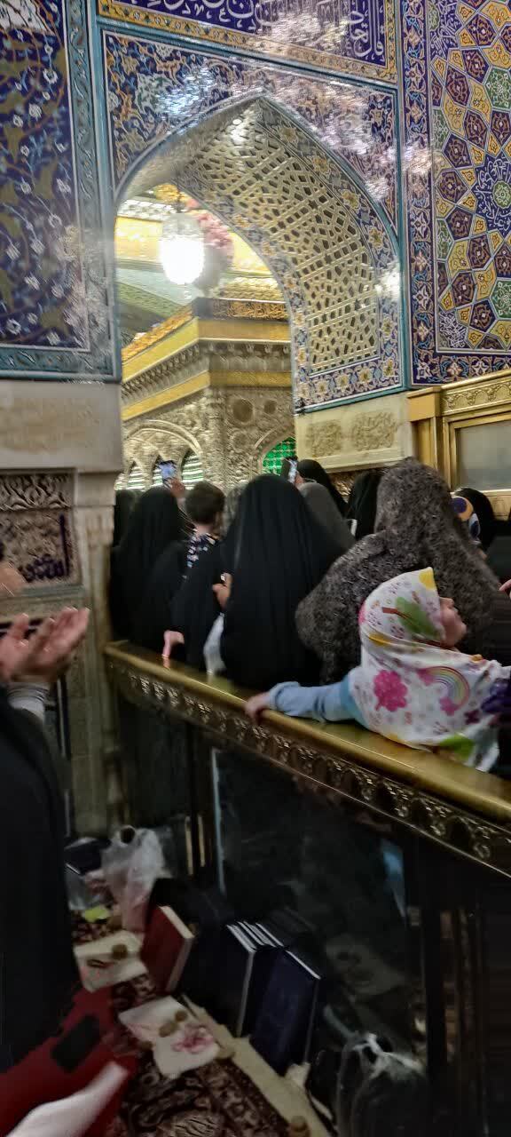 زائران در حرم امام رضا(ع)