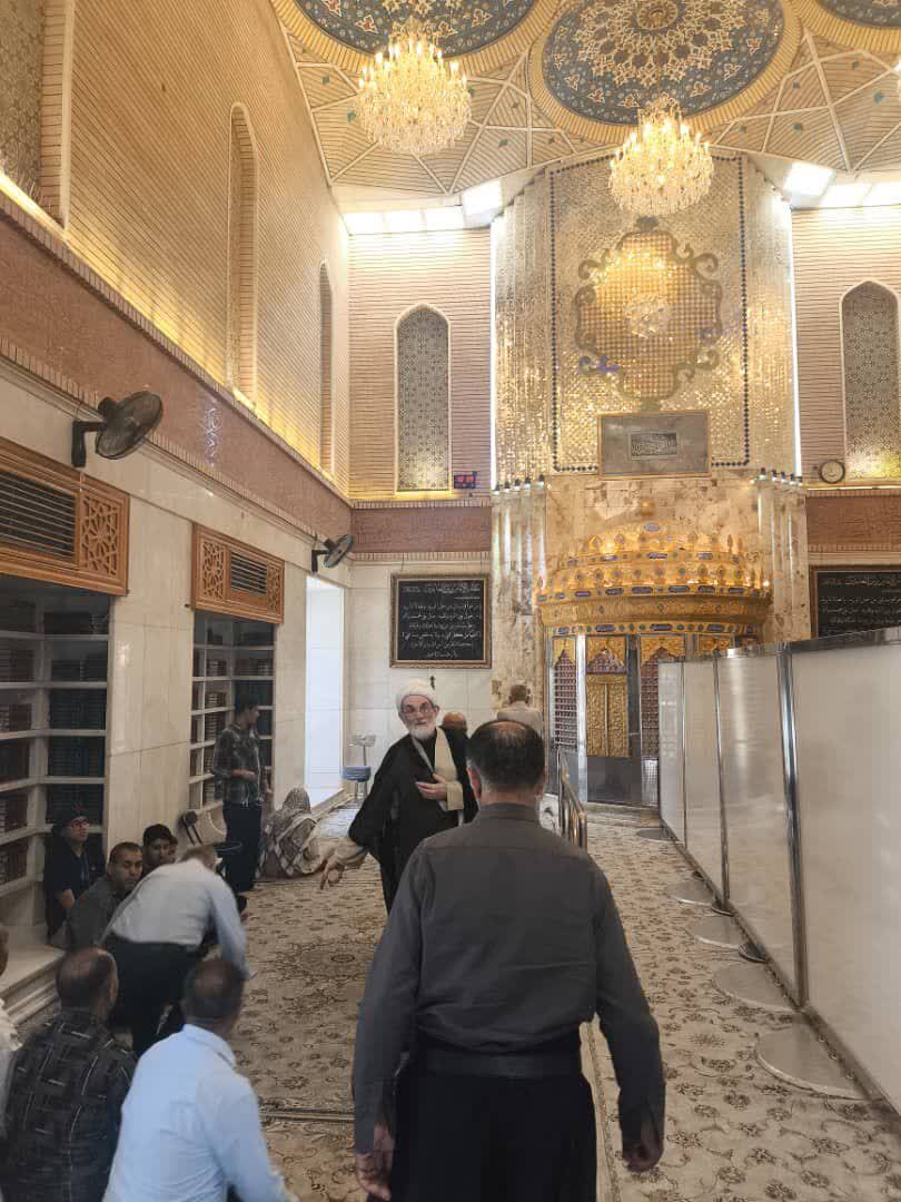 حضور زائران در حرم امام علی(ع)