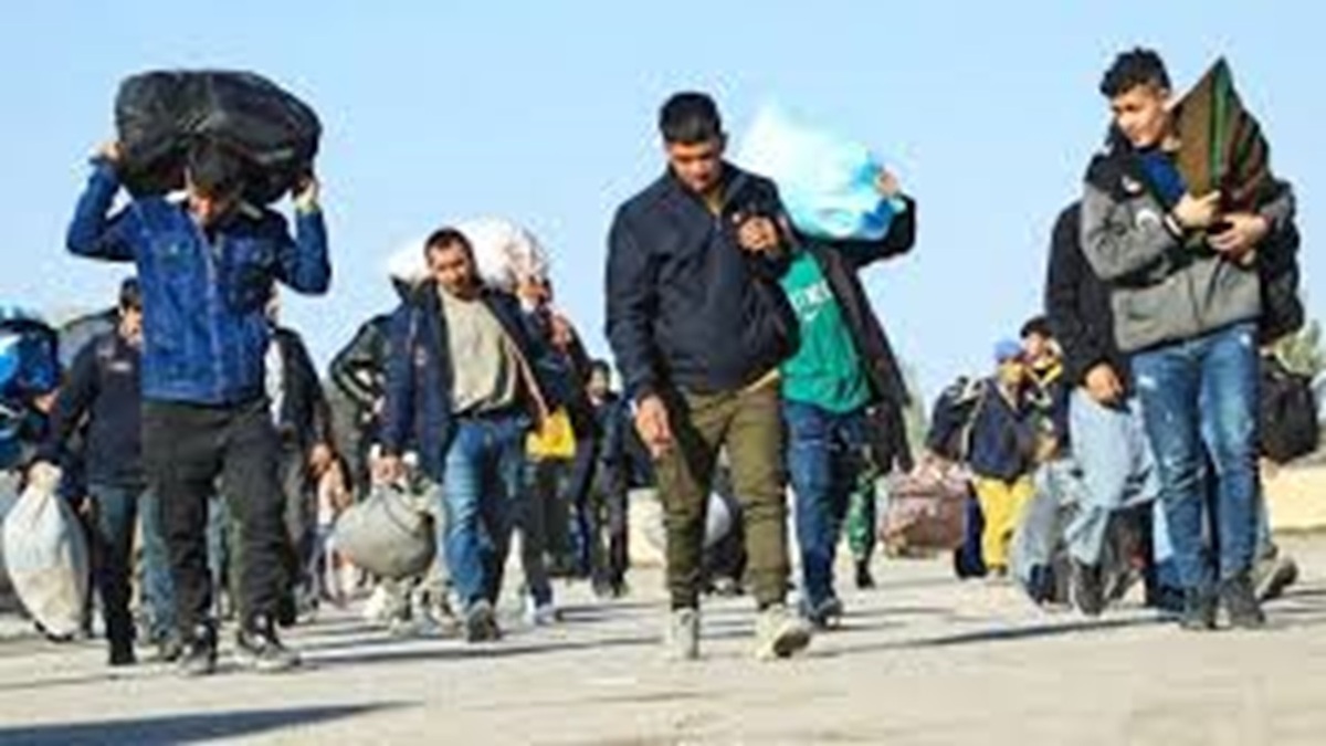 نقش گردشگری دریایی در توسعه اقتصاد دریایی + فیلم