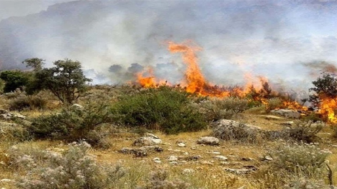 مهار آتش‌سوزی جنگل ابر شاهرود پس از ۱۹ ساعت نبرد بی‌وقفه