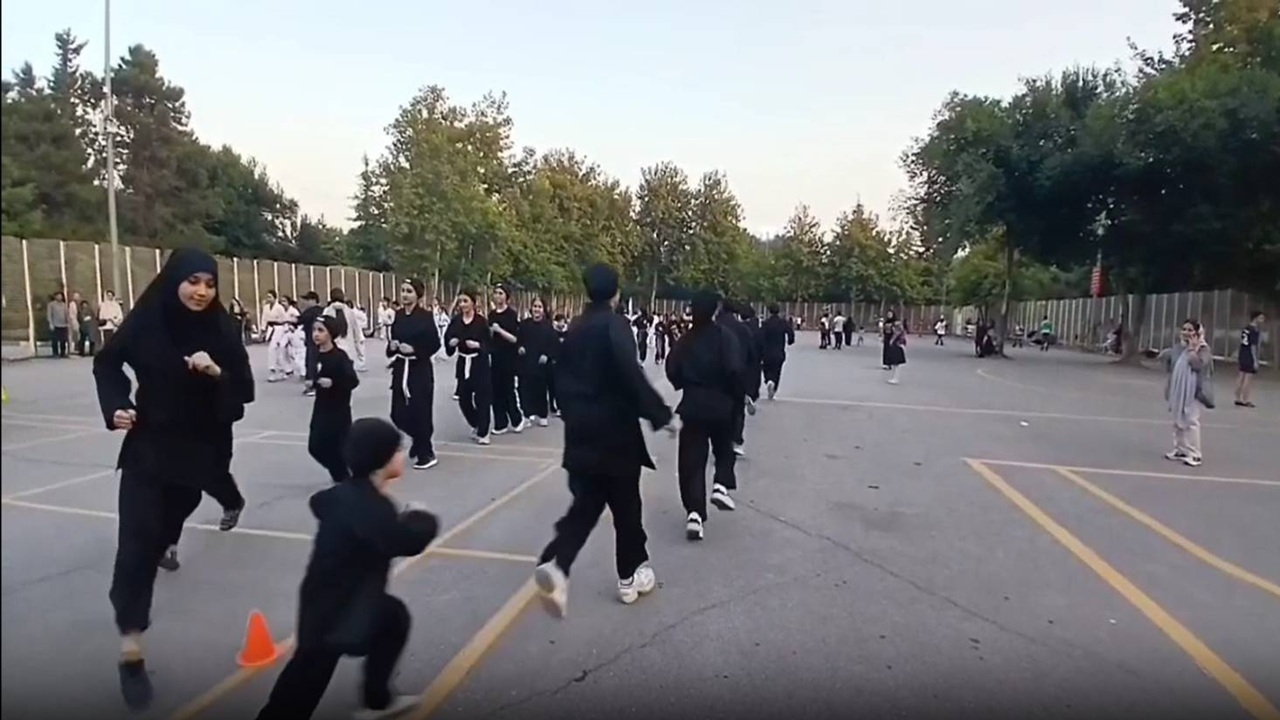 گوشه‌هایی از حرکات نمایشی رزمی کاران بابل در بوستان + فیلم