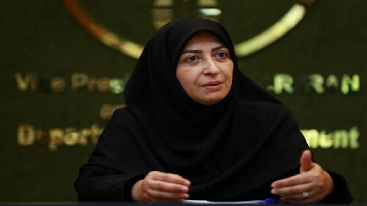 قدردانی رئیس سازمان حفاظت محیط زیست از محیط‌بانان هنگام تجاوز رژیم صهیونیستی به کشور
