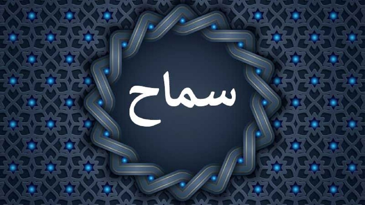 باشگاه خبرنگاران -زائران اربعین برای بهره‌مندی از بیمه سفر و تسهیل خدمات در سامانه سماح ثبت‌نام کنند