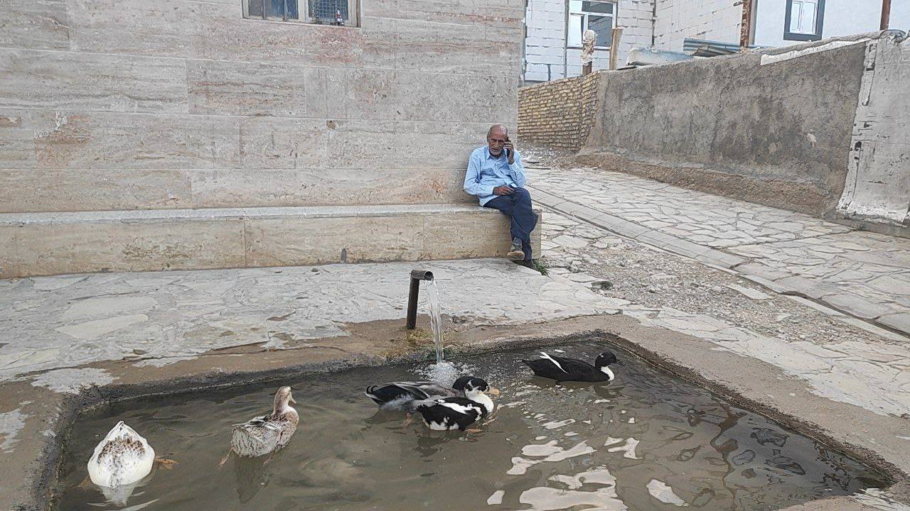 قابی خاطرانگیز از جاذبه های گردشگری توآباد