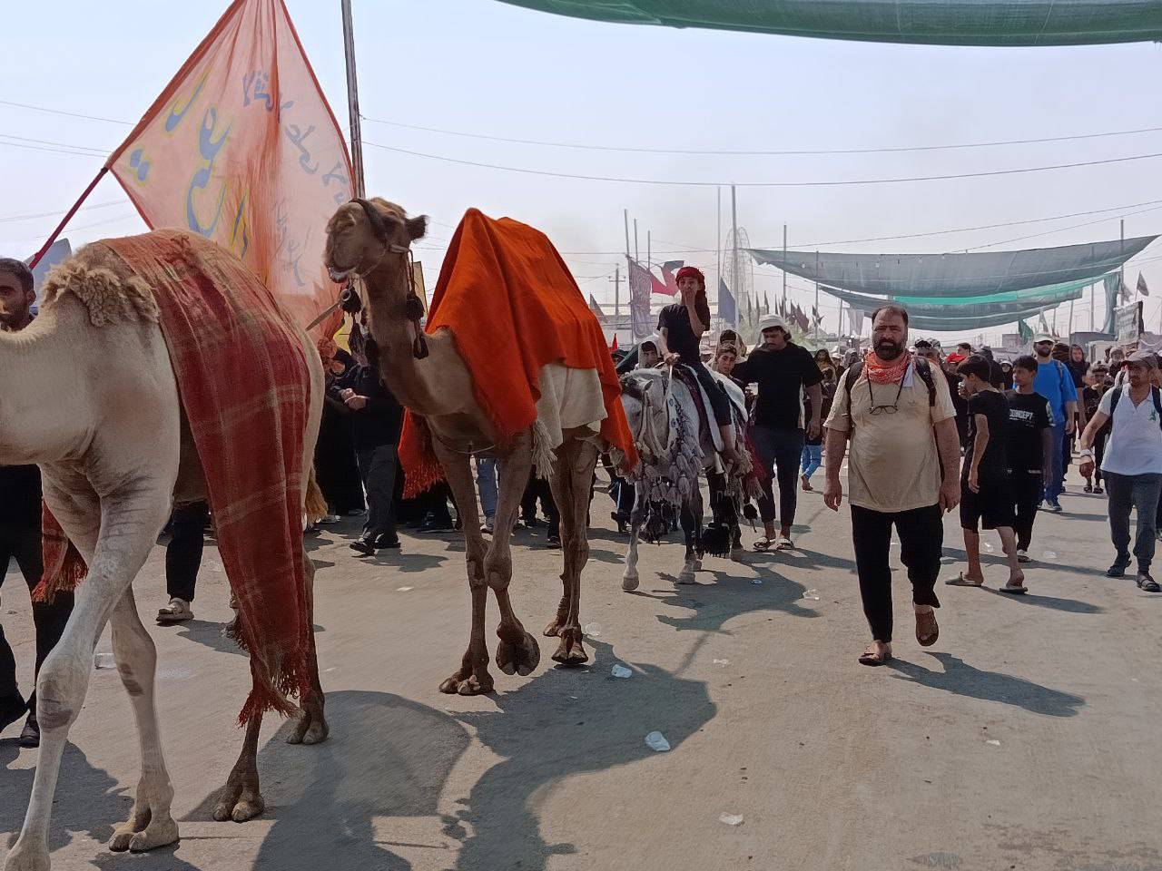حرکت کاروان