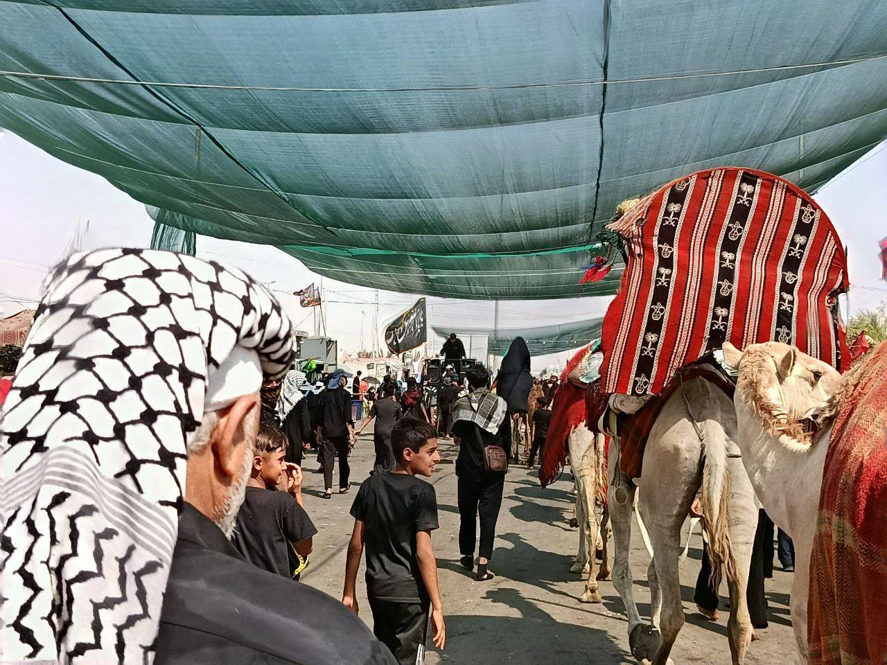 فیلمی از حرکت نمادین کاروان امام حسین (ع) بعد از واقعه کربلا در مسیر نجف به کربلا