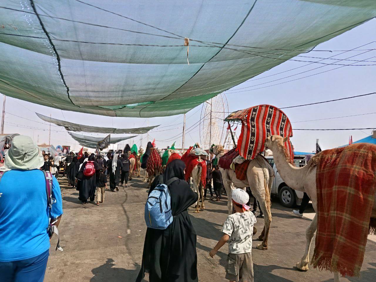 فیلمی از حرکت نمادین کاروان امام حسین (ع) بعد از واقعه کربلا در مسیر نجف به کربلا
