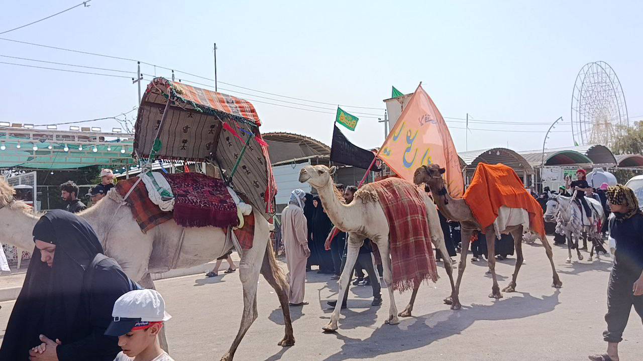 فیلمی از حرکت نمادین کاروان امام حسین (ع) بعد از واقعه کربلا در مسیر نجف به کربلا