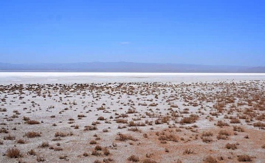 برهوتی از نمک، سرنوشت تلخ تالاب کجی در صورت ادامه خشکسالی برهوتی از نمک، سرنوشت تلخ تالاب کجی در صورت ادامه خشکسالی