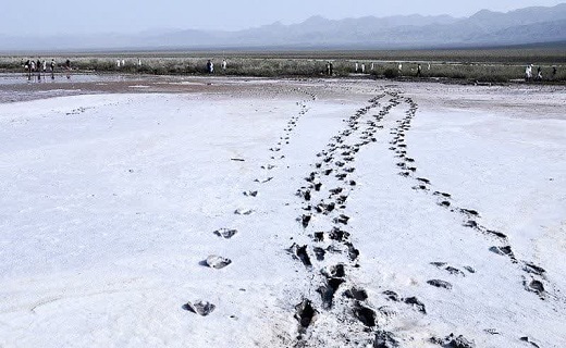 برهوتی از نمک، سرنوشت تلخ تالاب کجی در صورت ادامه خشکسالی /// گزارش مکتوب برهوتی از نمک، سرنوشت تلخ تالاب کجی در صورت ادامه خشکسالی /// گزارش مکتوب