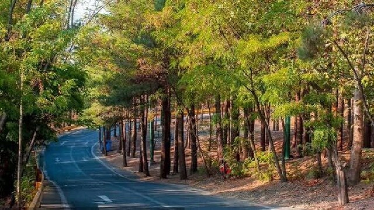 تشدید اقدامات پیشگیرانه برای مقابله با آتش‌سوزی در بوستان‌های جنگلی تهران