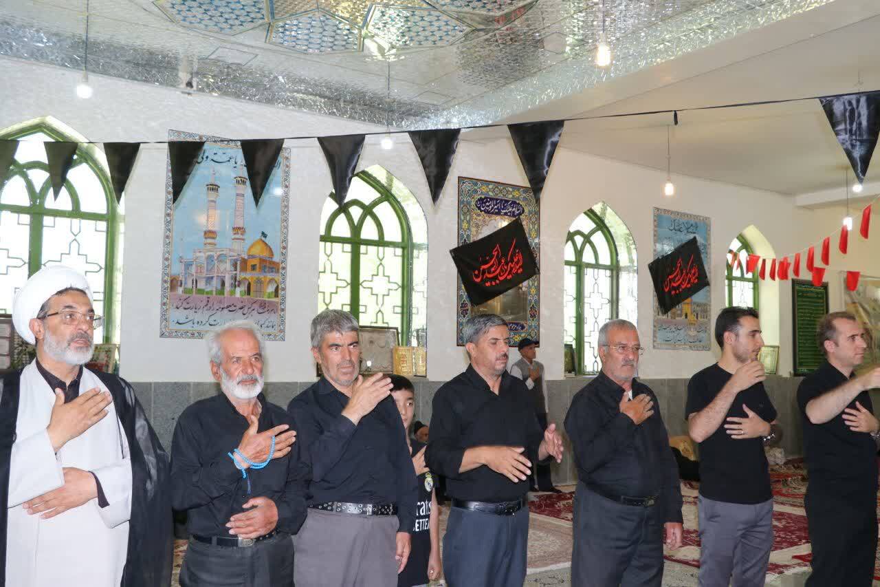 روایتی عاشقانه از دلدادگی به اباعبدالله الحسین (ع) در مراسم جاماندگان اربعین + عکس