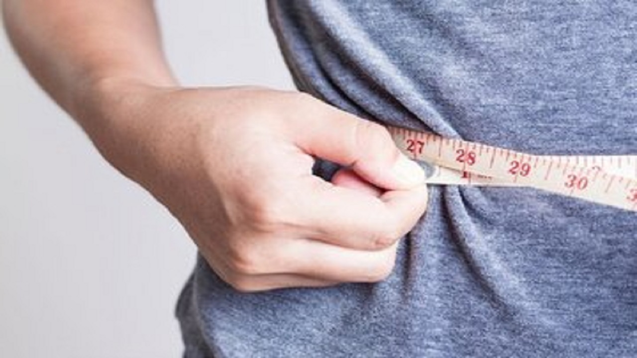 کلید جدیدی برای مقابله با چاقی از طریق مغز