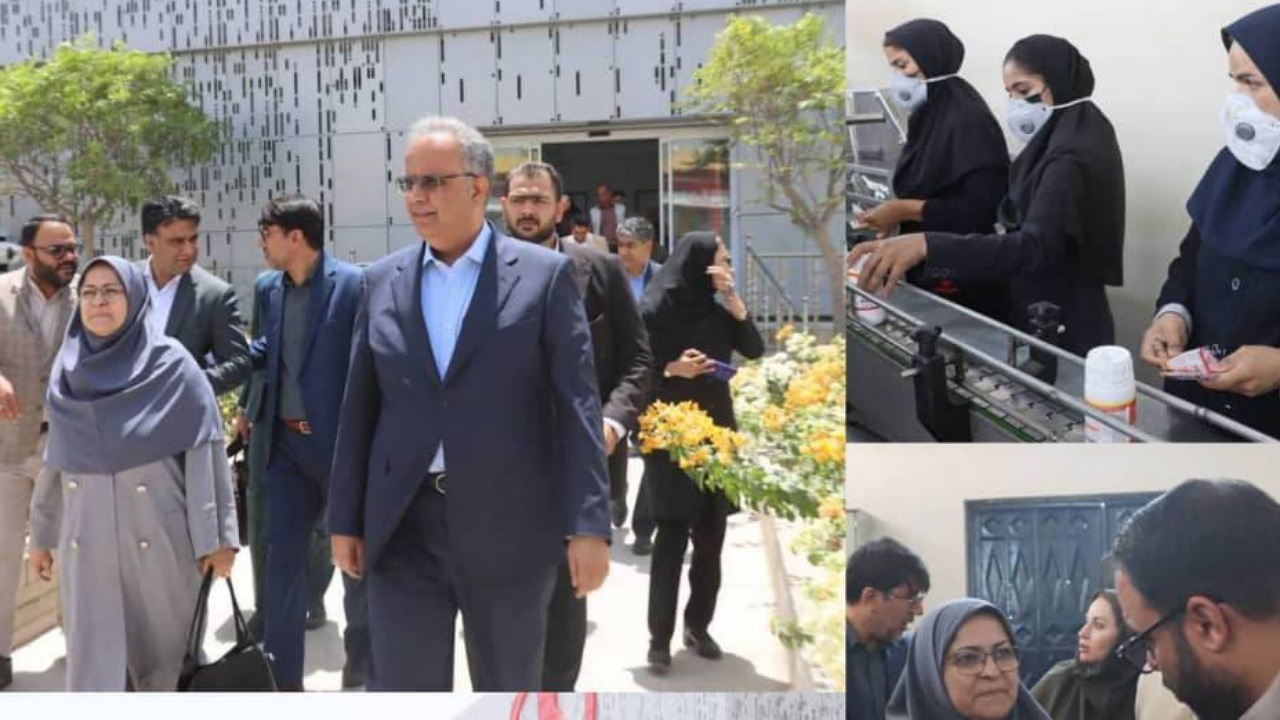 تاکید رییس سازمان ملی استاندارد بر حمایت از ظرفیت‌های اقتصادی سیستان و بلوچستان