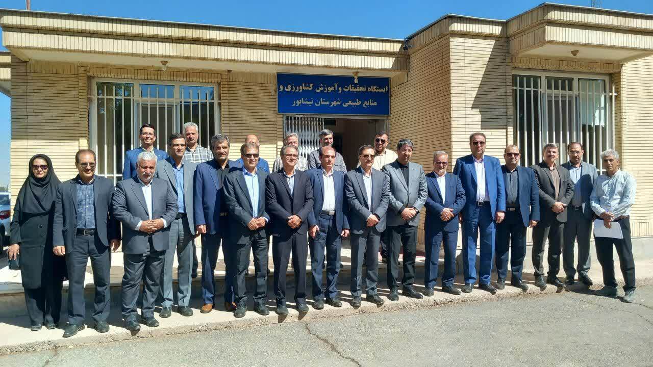 افزایش ۵ برابری تولیدات کشاورزی در نیشابور