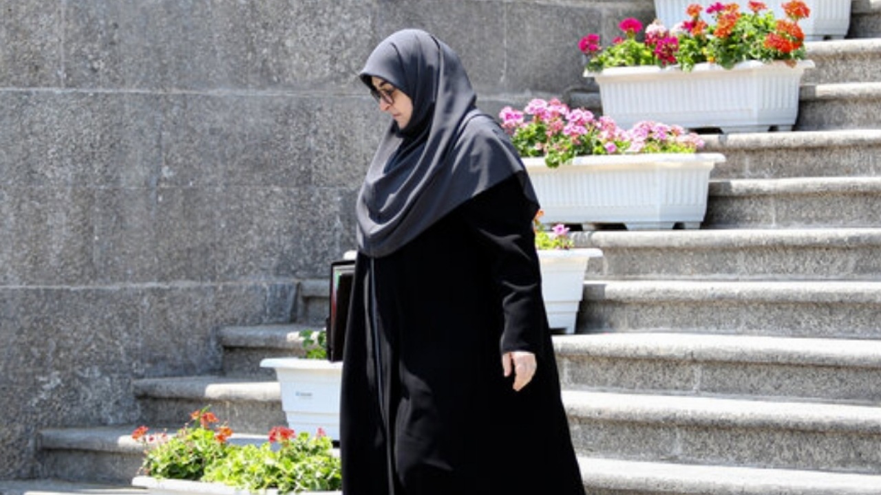 مهاجرانی:سرمایه اجتماعی با به رسمیت شناختن تفاوت‌ها و سلایق حفظ می‌شود