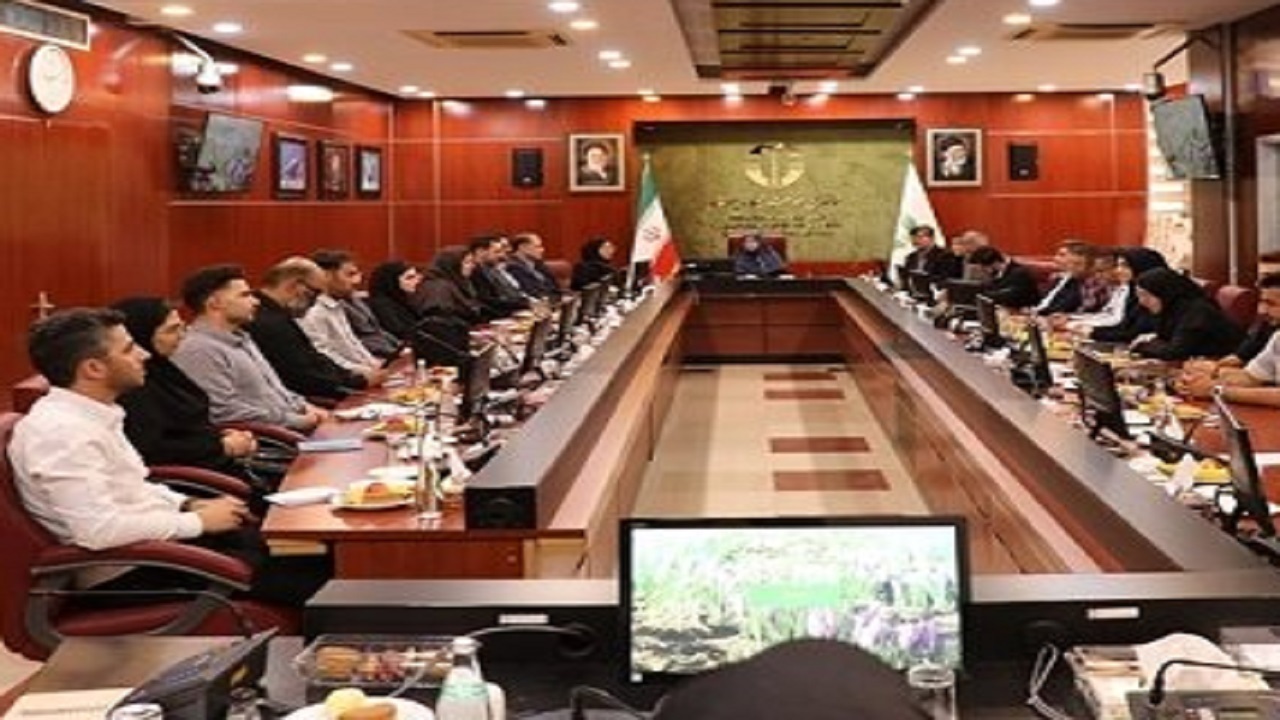 راهکار ضربتی برای بحران‌های محیط‌زیستی کارساز نیست