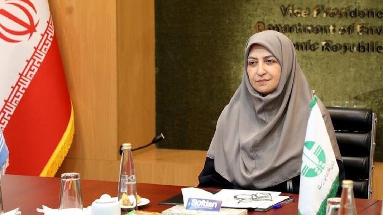 معاون رئیس‌جمهور درگذشت فعال محیط زیست را تسلیت گفت