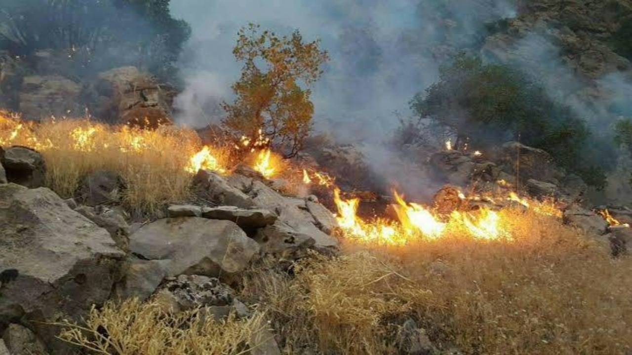 مهار آتش سوزی در منطقه حفاظت شده شاهو و کوسالان