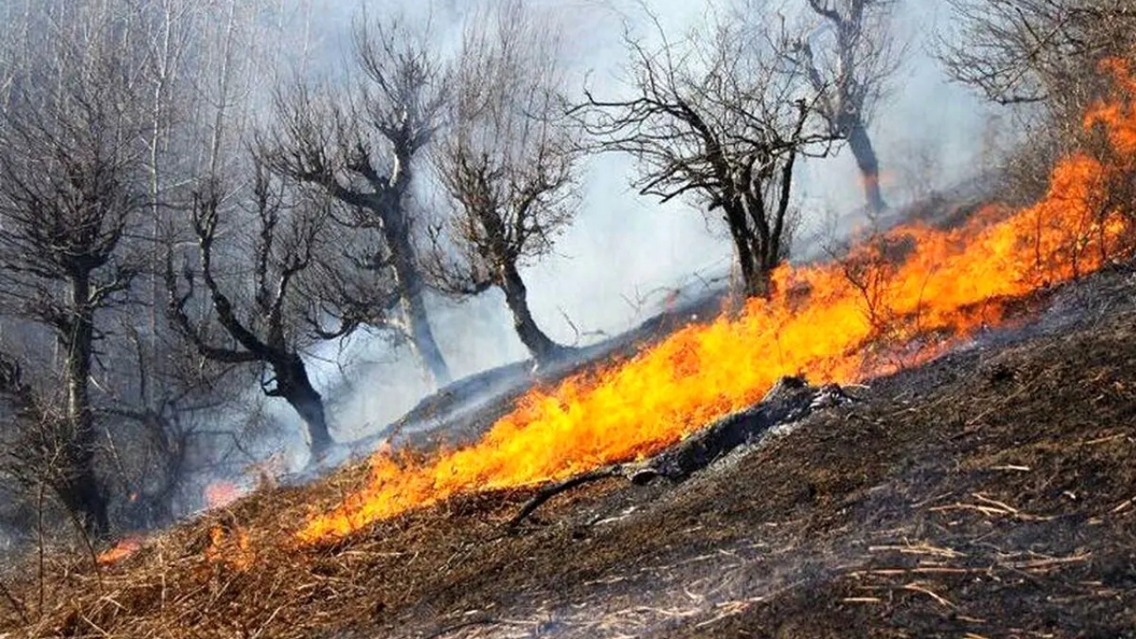 آتش‌سوزی‌های لرستان؛ کاهش خسارت اما زخم‌های عمیق بر طبیعت