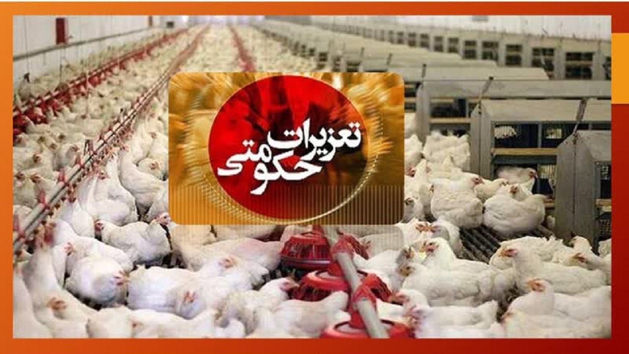تشکیل ۴۶ میلیارد ریال پرونده تخلف برای ۷ واحد مرغداری در نکا