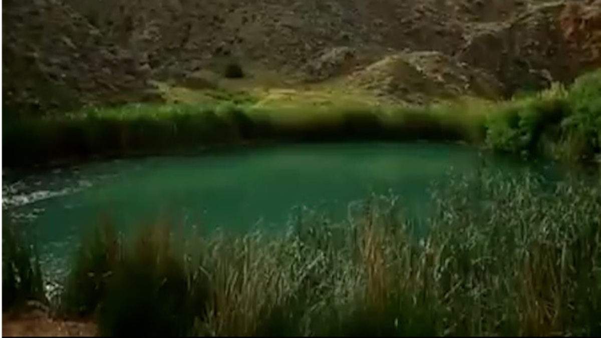 میزبانی از مسافران در شهر بجنورد + فیلم