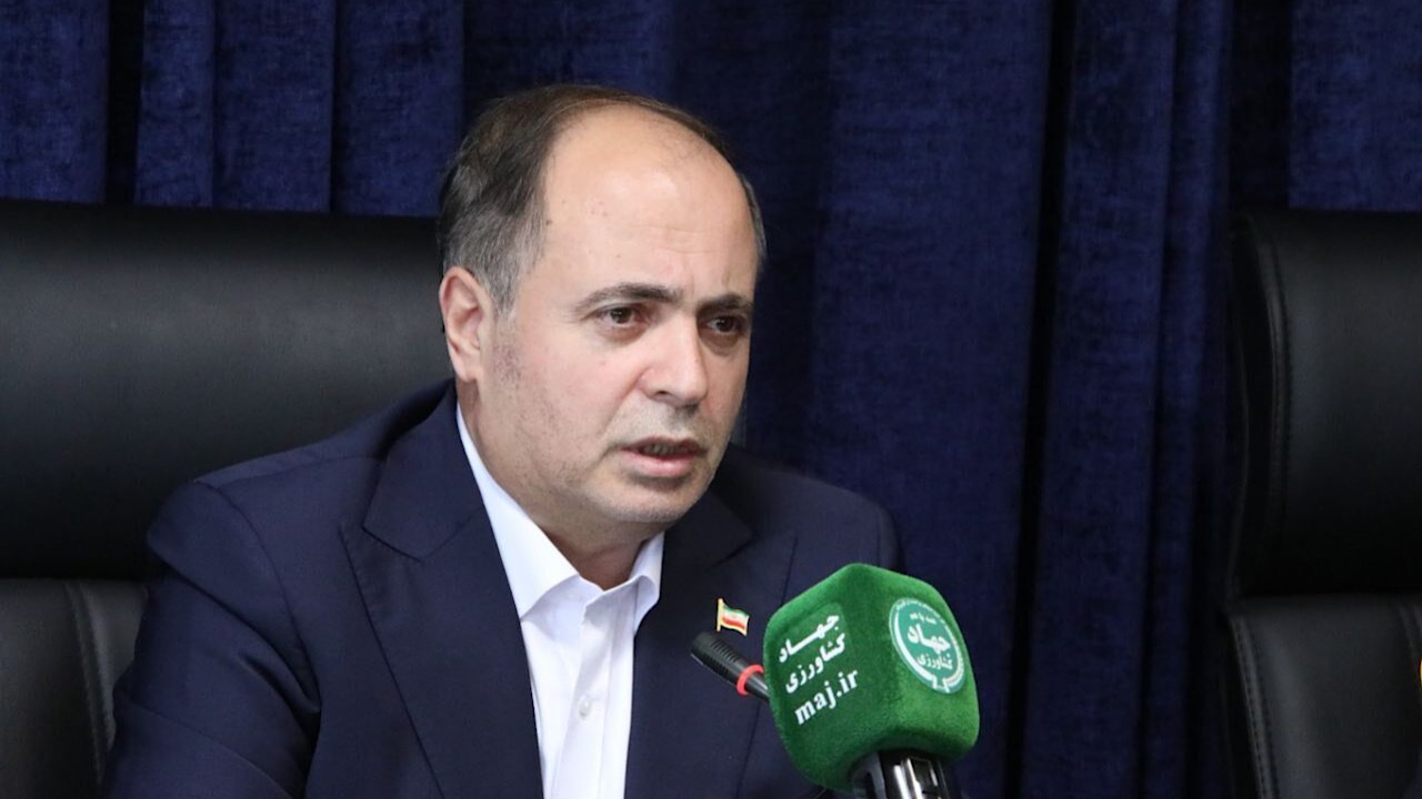 افزایش ۵ درصدی تولید برنج داخلی/ صادرات بخش کشاورزی ۱۰.۶ درصد رشد کرد