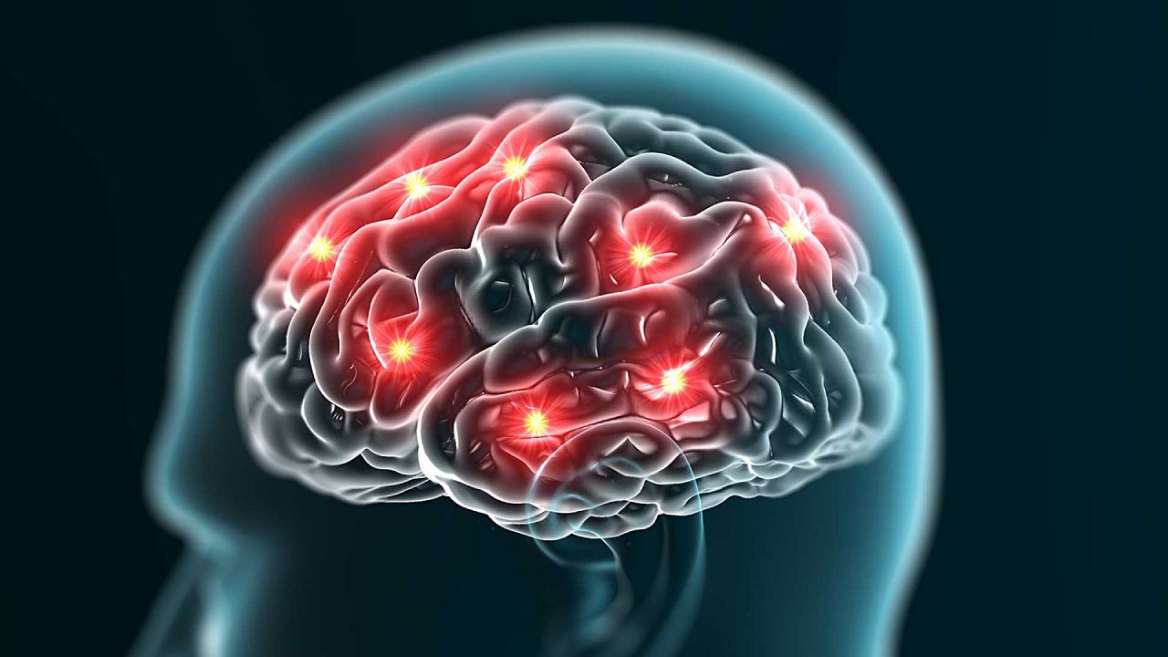 همکاری ۶۰۰ هزار نورون مغز فقط برای یک تصمیم‌گیری ساده