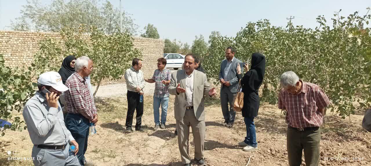 محصولات کشاورزی