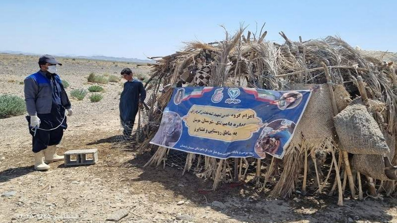 خدمات رایگان دامپزشکی مهرستان در هفته وحدت