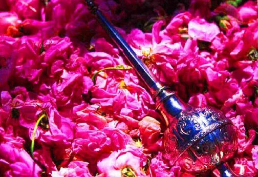 از باغ&zwnj;های معطر تا دیگ&zwnj;های مسی؛ آیین گلاب&zwnj;گیری بروجرد، پیوندی با گذشته/ اتونشر برای فردا صبح