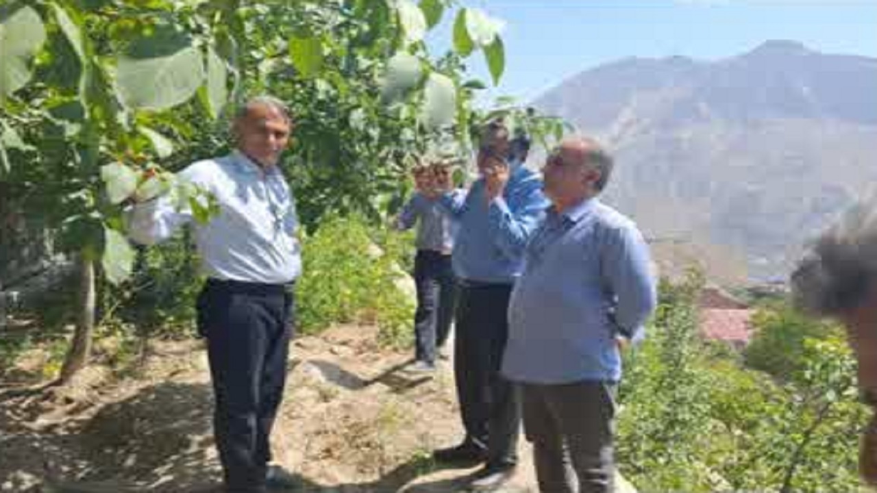توسعه آبیاری نوین در دستور کار جهاد کشاورزی آمل