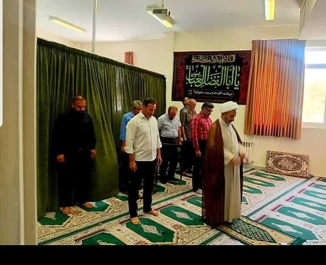 گوشه&zwnj;هایی از جشن و شادمانی ماهدشتی&zwnj;ها در آستانه ۱۷ ربیع الاول + عکس