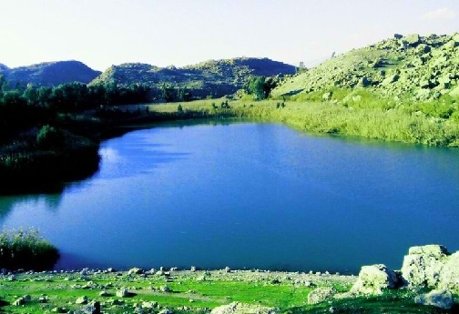 تالابهای پلدختر؛ آیینهای از آسمان در دل لرستان/ اتونشر برای فردا صبح تالابهای پلدختر؛ آیینهای از آسمان در دل لرستان/ اتونشر برای فردا صبح