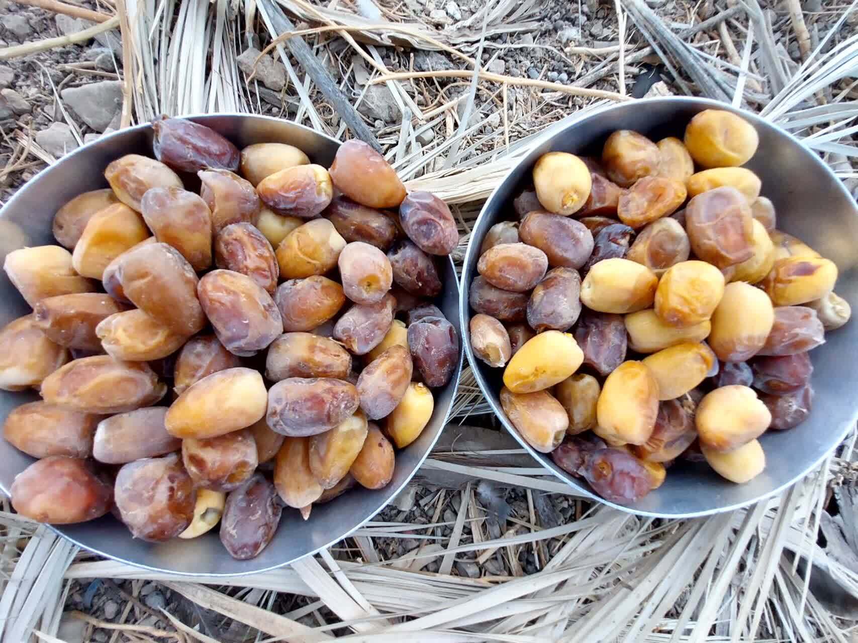 اهدای بسته کمک مومنانه