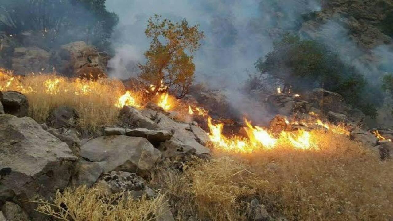 آتش‌سوزی کوه "شره" در کهگیلویه مهار شد