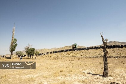 آیین نخل‌برداری در شهرستان تفت یزد