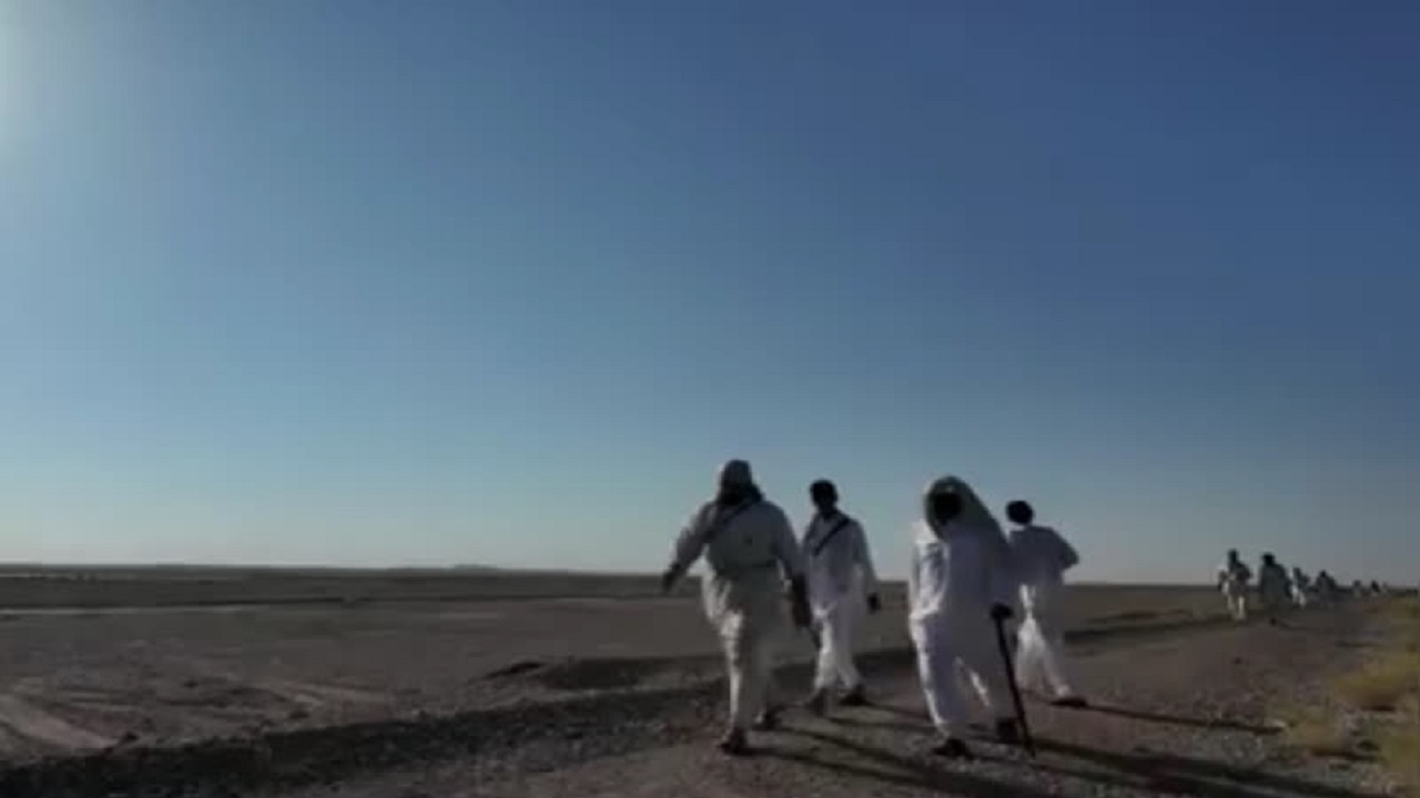 دلدادگان امام رضا (ع) در جاده عشق
