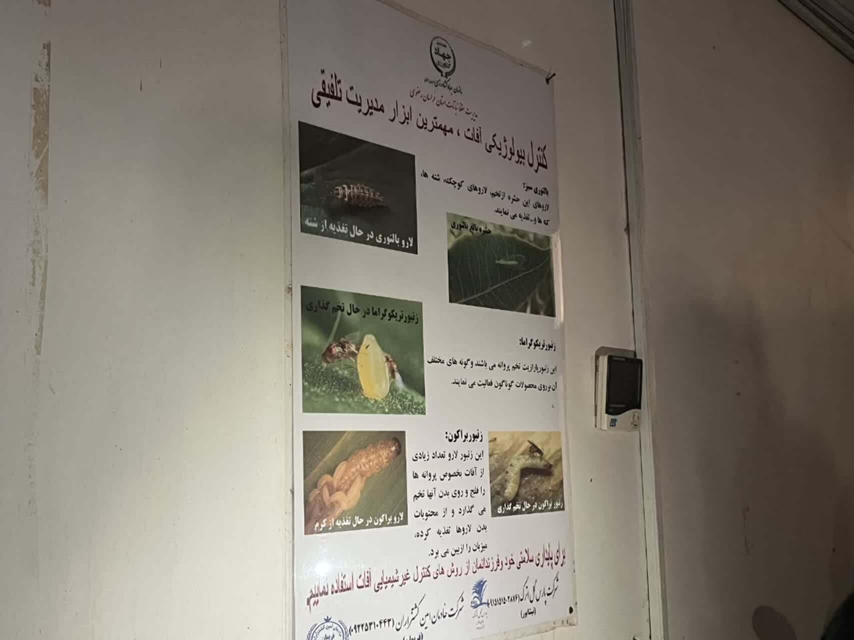 بازدید از شرکت دانش بنیان