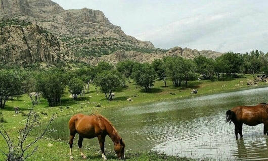 سفر به تالاب ازگن لرستان؛ بهشتی فصلی در دل کوهستان