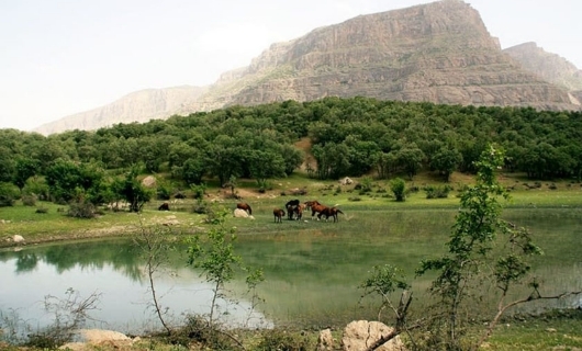 سفر به تالاب ازگن لرستان؛ بهشتی فصلی در دل کوهستان